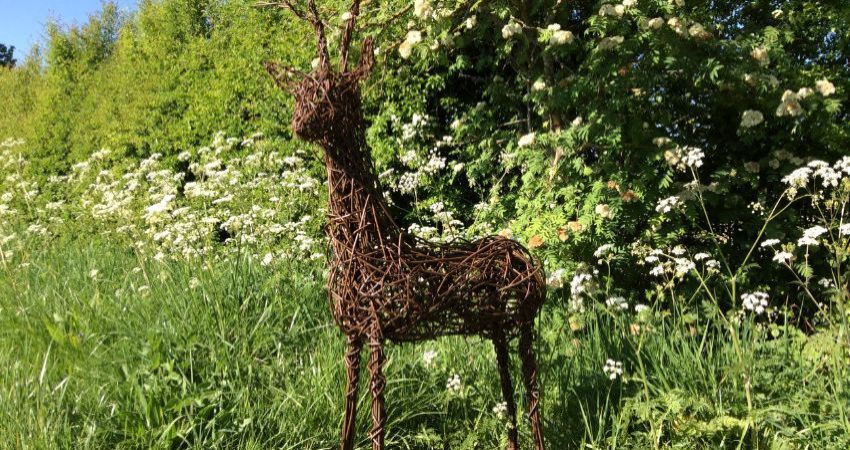 Create a Willow Deer Workshop 
