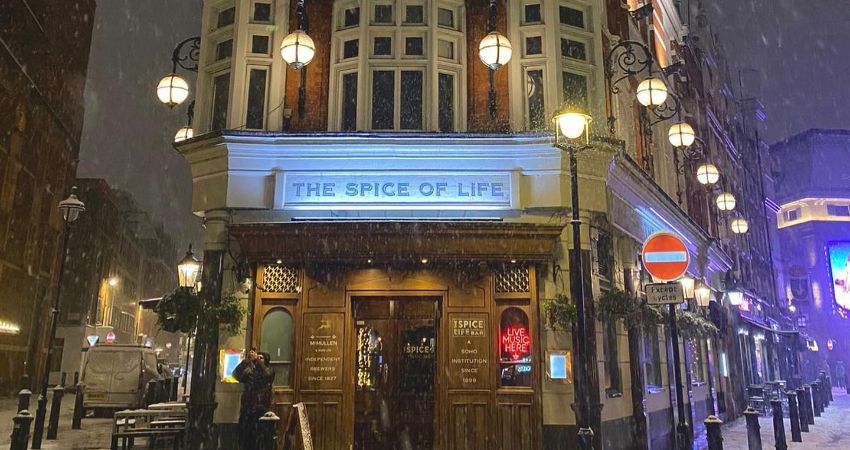 Substance at the Spice of Life 