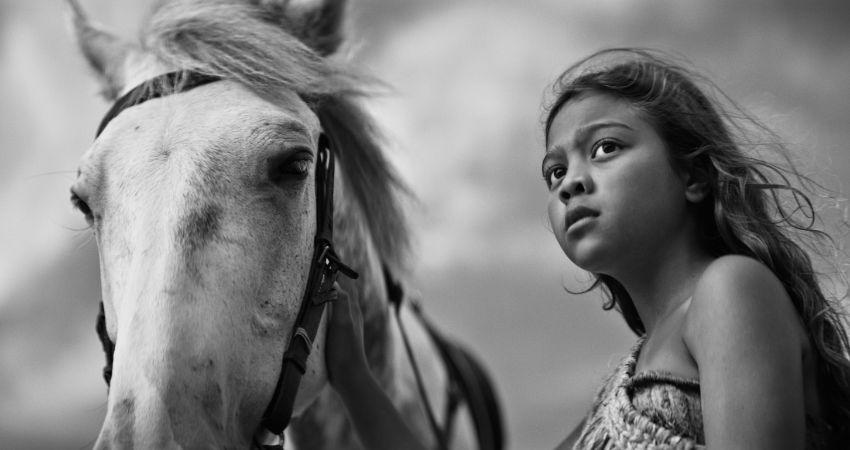 Native Spirit Festival 2025: Sunday Shorts | Dusk Programme 