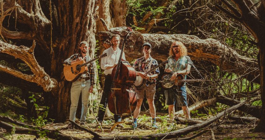 Paul Armer & The Dawn Chorus 