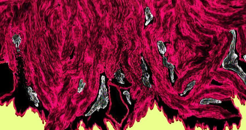 Wire Mothers/ Bloody Head / Sailor Spartan 