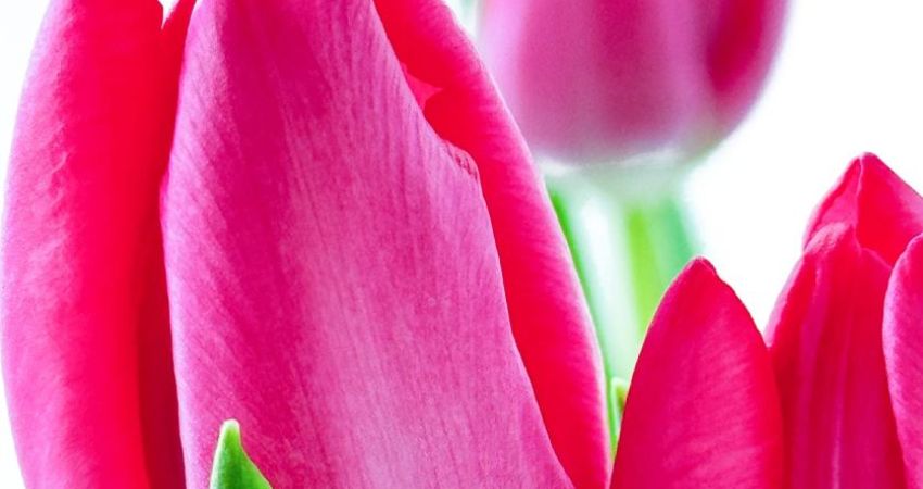 Working with light in photography