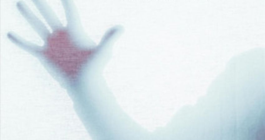 The Valley Of The Roses+Broken Horses 