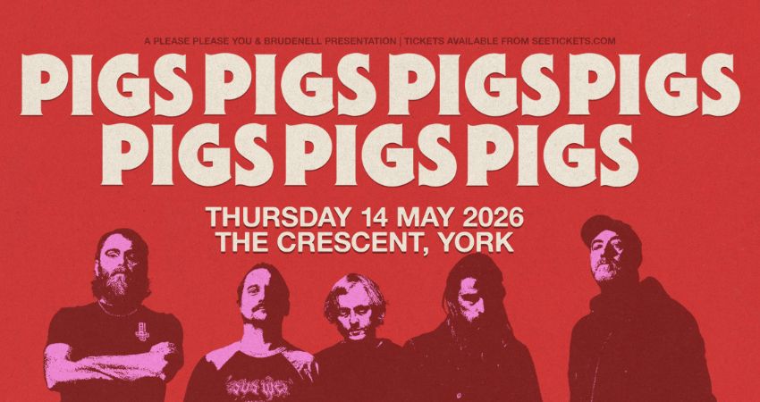 Pigs Pigs Pigs Pigs Pigs Pigs Pigs 