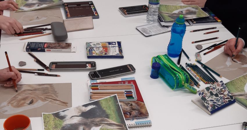 Learn to use coloured pencils to create animals 