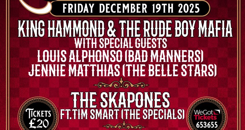 SPECIALIZED CHRISTMAS CRACKER 