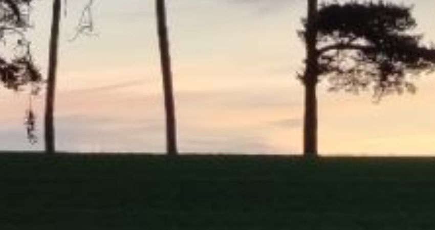 Buster Keaton SEVEN CHANCES 