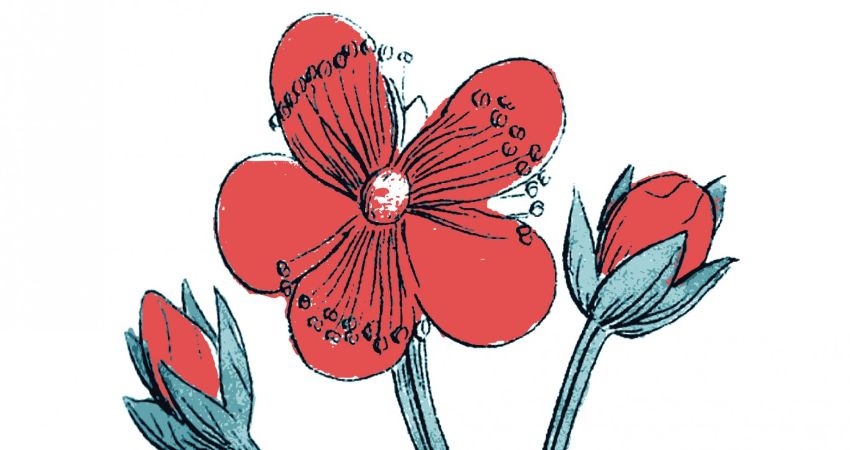 The Scarlet Pimpernel 