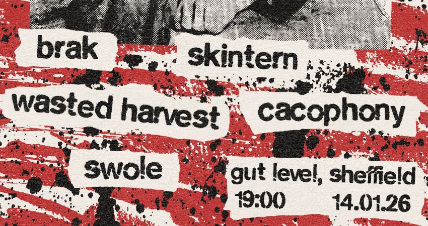BRAK (Berlin) / SKINTERN / CACOPHONY / WASTED HARVEST / SWOLE