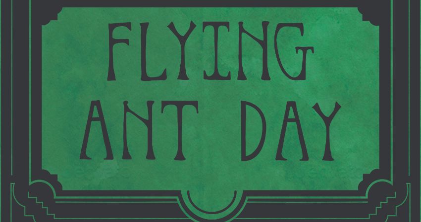 Flying Ant Day, Billy Whizz, and Sicky