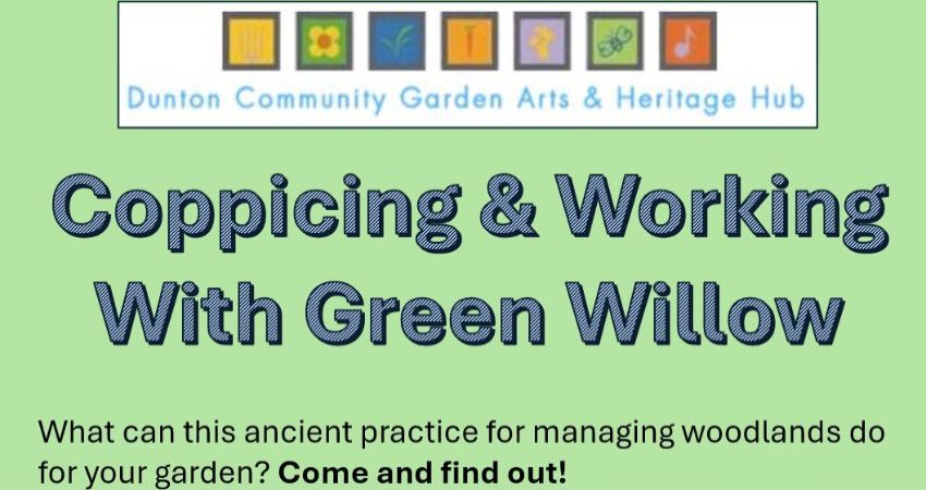 Coppicing & Working with Green Willow