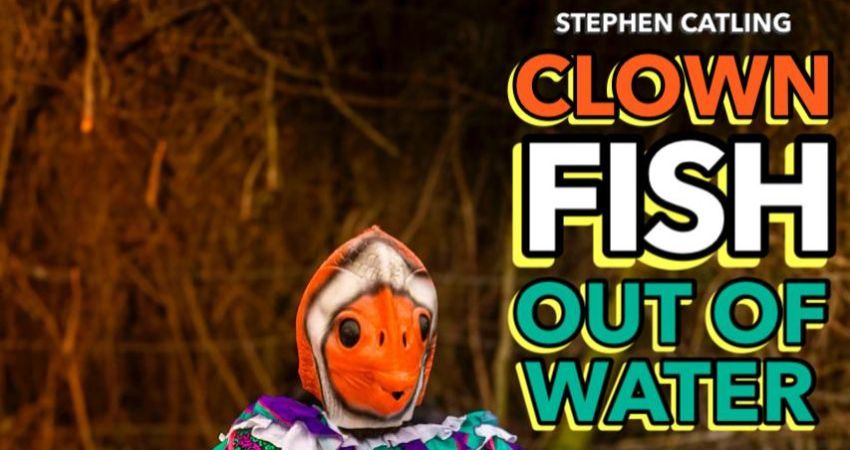 Stephen Catling: Clownfish out of water and friends 