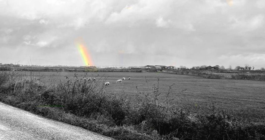 The Nebraska Tour - A Tribute 