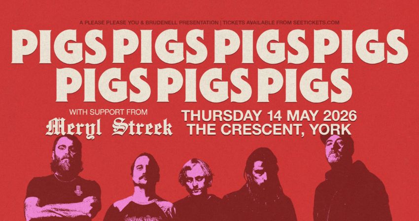 Pigs Pigs Pigs Pigs Pigs Pigs Pigs