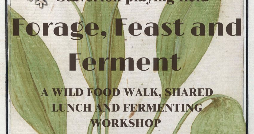 Forage, Feast and Ferment 