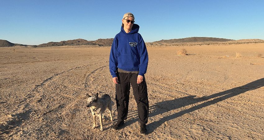 DEAR NORA + TAI HAF HEB DRIGOLYN 