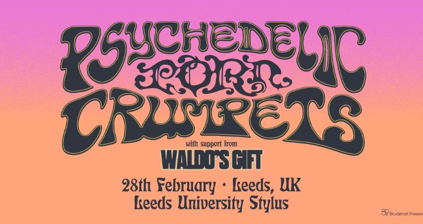 Psychedelic Porn Crumpets 