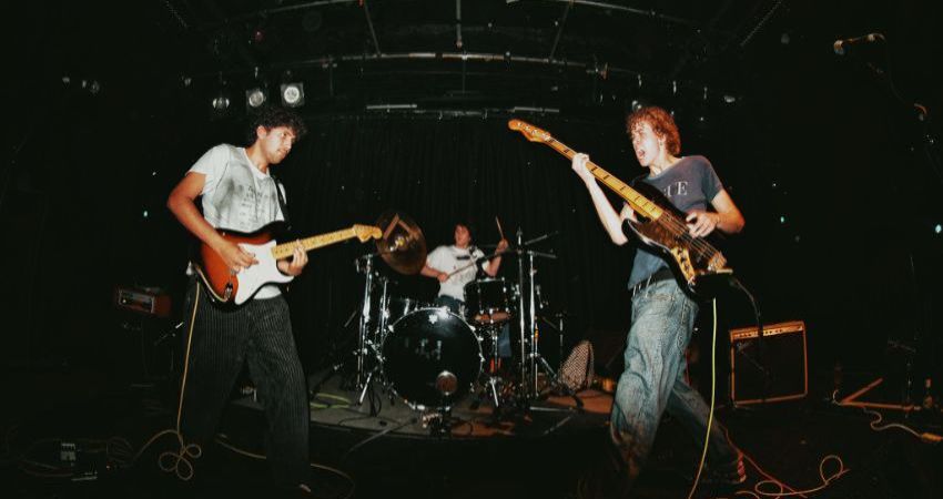 VAN QUAN / stonnythedonney / Dahlia's Comet 