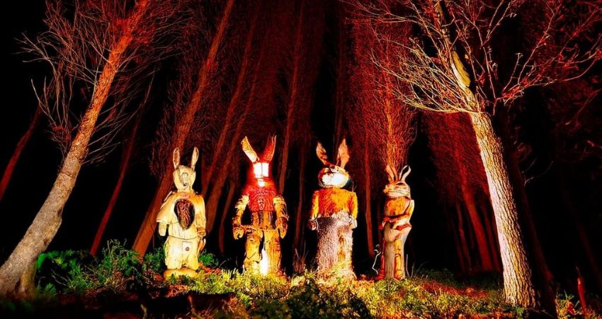 Echoes of the Bunnymen 