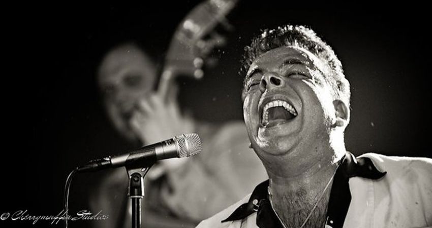 Mike Sanchez & the Portions - Rock 'n' Roll & R&B 