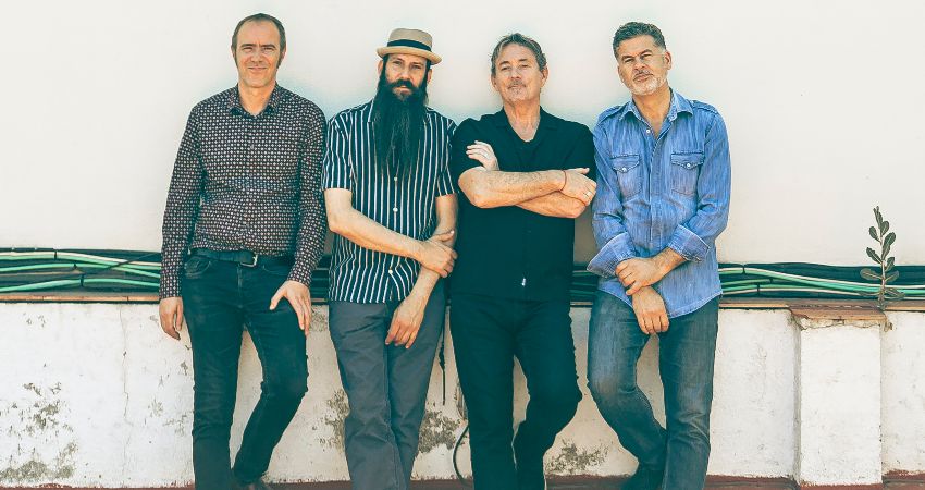 Track Dogs, 20th Anniversary tour 