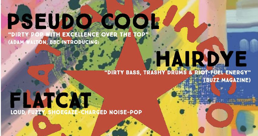 Pseudo Cool, Hairdye, Flatcat and Jack City Rockers