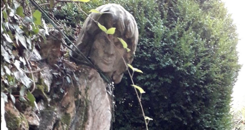 Tavistock Curiosities 