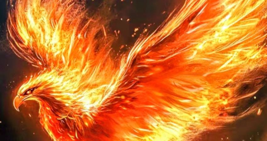 HEARTLINE female fronted night