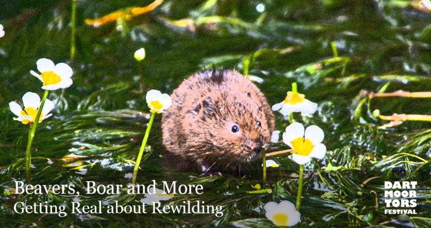 Dartmoor Tors Festival: Beavers, Boar and More: Getting real about rewilding 
