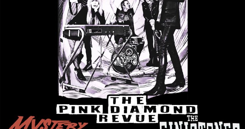 SHAKE SOME ACTON #146. THE SMOGGERS, THE PINK DIAMOND REVUE, MYSTERY ACTION,THE SINICTONES 