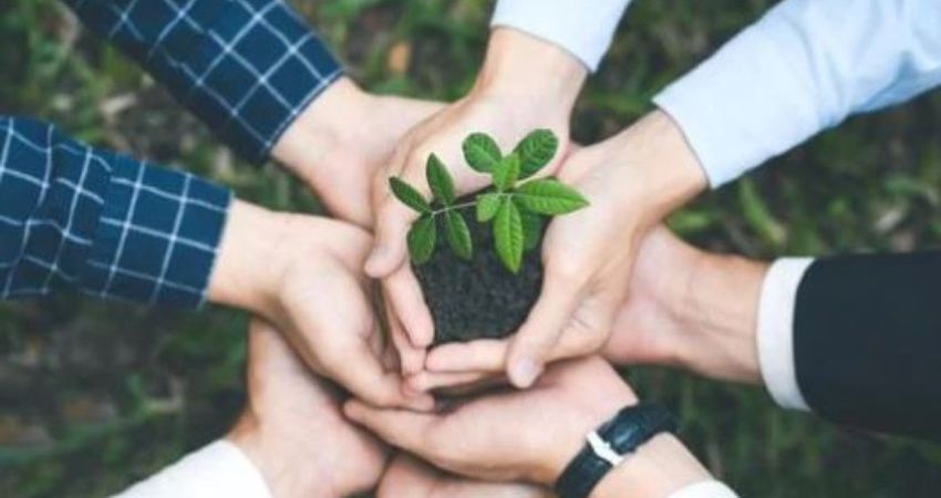 Celebrating Impact: UKSPF Social Enterprise Showcase & Networking Event