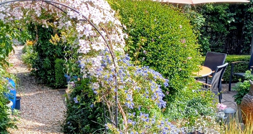 THE SECRET GARDENS OF SOUTH CARY 