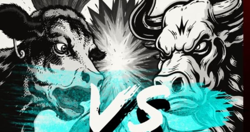 The Rustic Stomp Shindig 