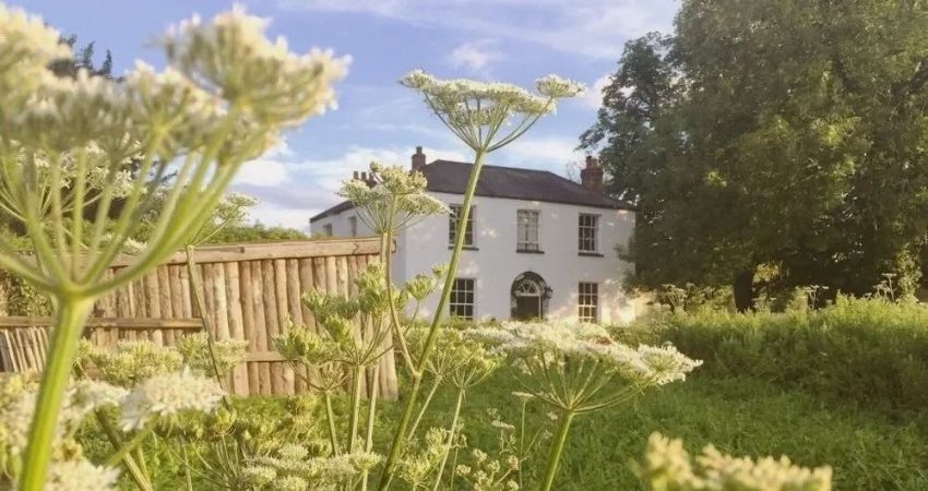 A Summers Day @ The Isis River Farmhouse 