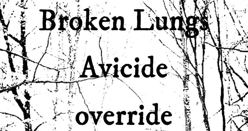 Sketch Book Records presents...Broken Lungs 