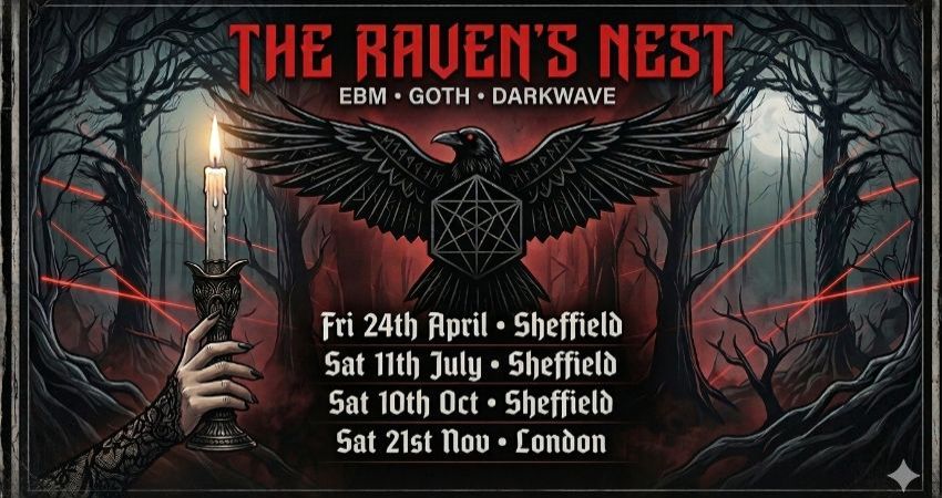 🌙 Raven's Nest: The One-Year Anniversary!