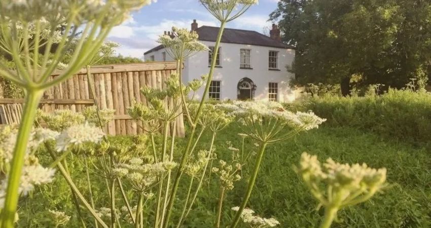 A Summers Day @ The Isis River Farmhouse 