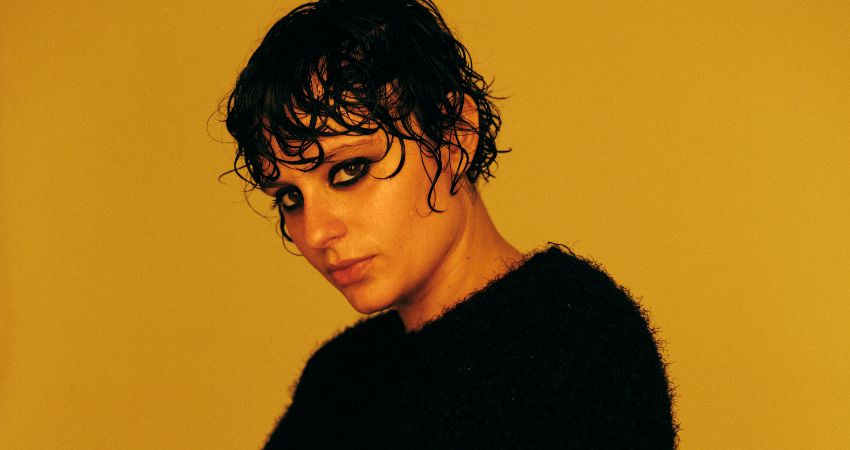 Ana Frango Elétrico 