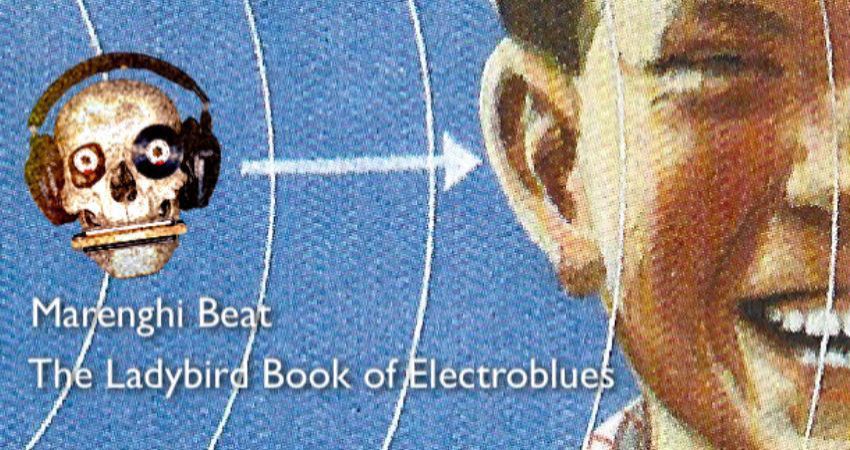 Album Launch - The Ladybird Book of Electroblues