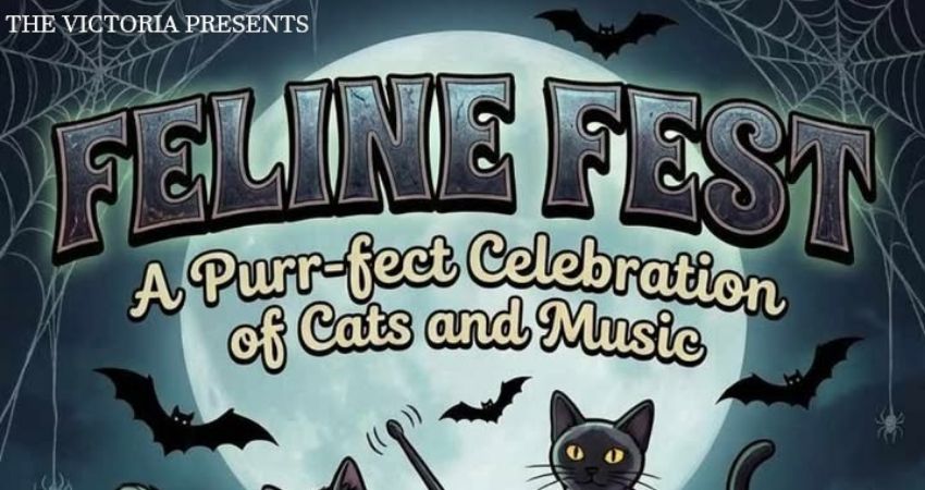 FELINE FEST