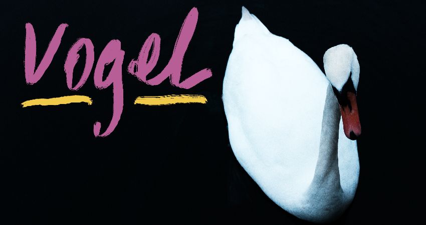 Vogel @ Shakespeares