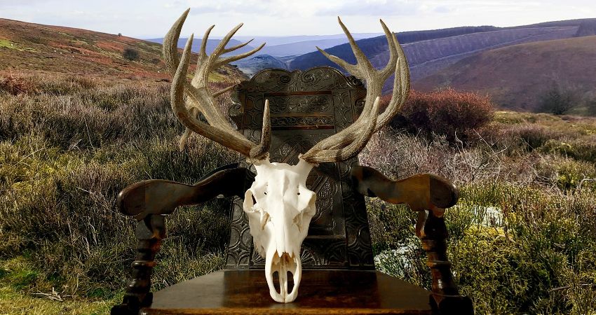 Folk gods of the wild moors - Story told by Jason Buck 