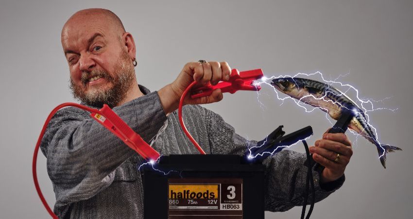 SET MENU (The Best Of George Egg) 