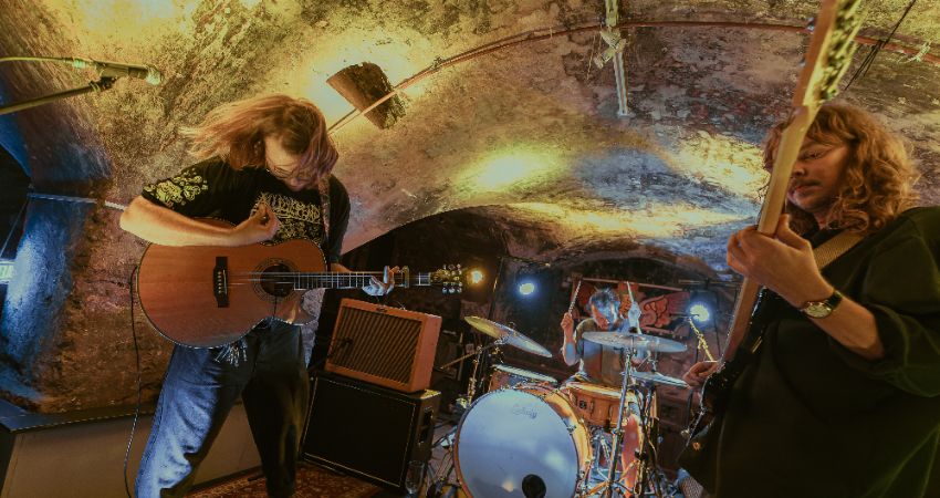 Toodles & The Hectic Pity