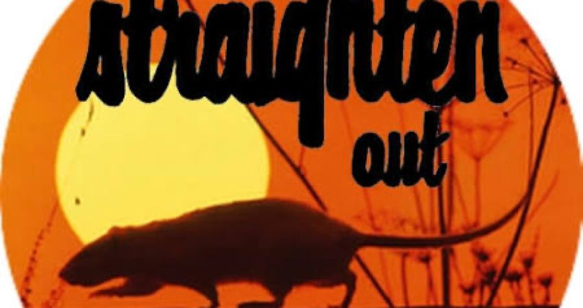 Straighten Out Stranglers Tribute 