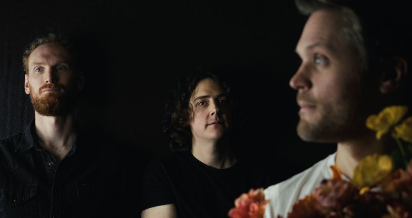 Quaking Aspens & Civil Villains