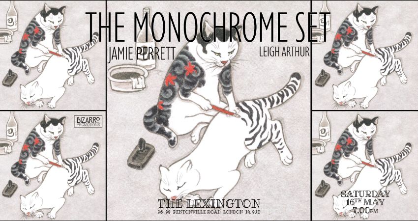 The Monochrome Set 