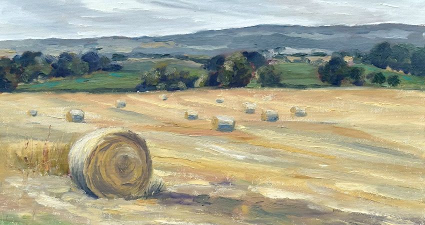 Simplify the Landscape in Oils 