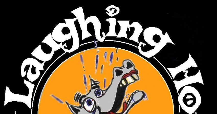 LAUGHING HORSE ONLINE (10 DAY) COMPLETE COMEDY COURSE