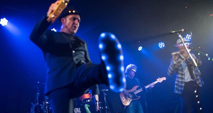 The Liquor & Poker Band - Blues, Ska, Soul and Rock & Roll 